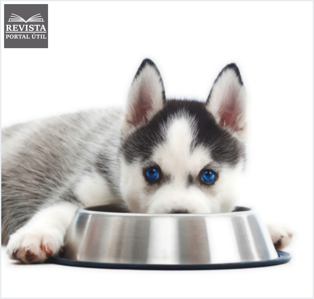 Quantas gramas de ração um cachorro deve comer por dia?